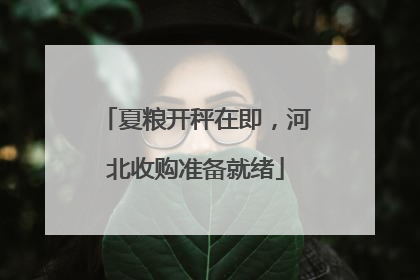 夏粮开秤在即，河北收购准备就绪