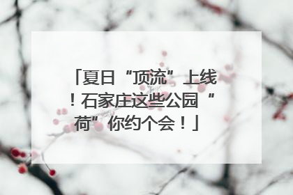 夏日“顶流”上线！石家庄这些公园“荷”你约个会！