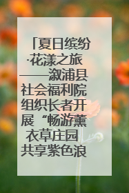 夏日缤纷·花漾之旅——溆浦县社会福利院组织长者开展“畅游薰衣草庄园 共享紫色浪漫”户外活动
