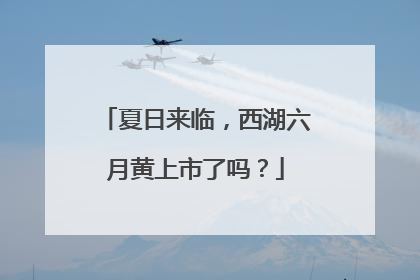 夏日来临，西湖六月黄上市了吗？
