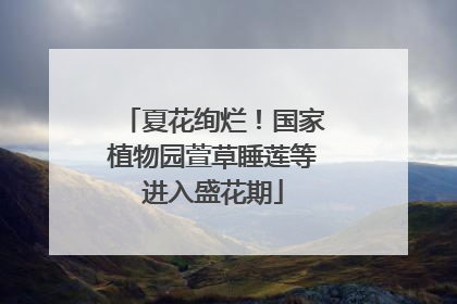 夏花绚烂！国家植物园萱草睡莲等进入盛花期