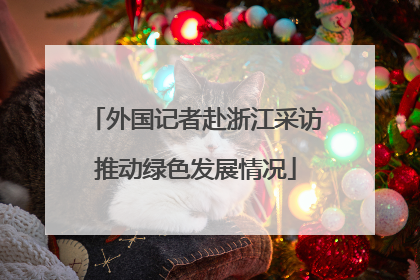 外国记者赴浙江采访推动绿色发展情况