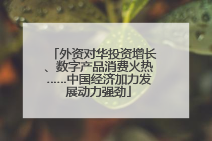 外资对华投资增长、数字产品消费火热……中国经济加力发展动力强劲