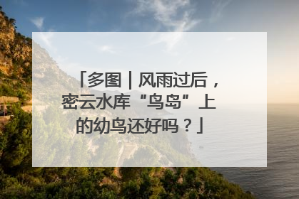 多图｜风雨过后，密云水库“鸟岛”上的幼鸟还好吗？