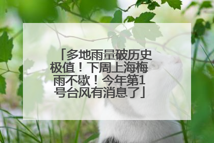 多地雨量破历史极值！下周上海梅雨不歇！今年第1号台风有消息了