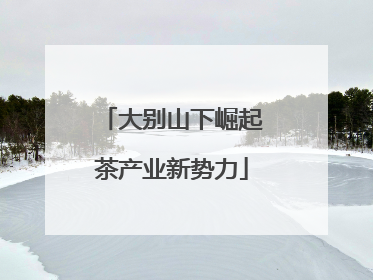 大别山下崛起茶产业新势力