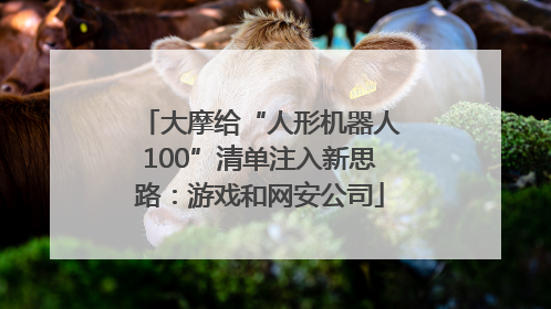 大摩给“人形机器人100”清单注入新思路：游戏和网安公司