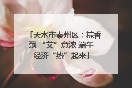 天水市秦州区：粽香飘 “艾”意浓 端午经济“热”起来