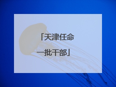 天津任命一批干部