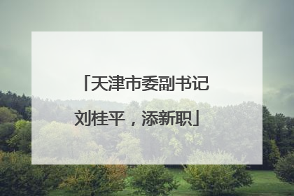天津市委副书记刘桂平，添新职