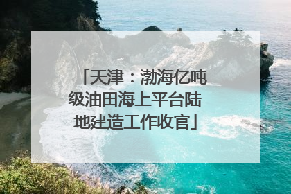 天津：渤海亿吨级油田海上平台陆地建造工作收官
