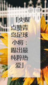 央媒点赞青岛足球小将：踢出最纯粹热爱