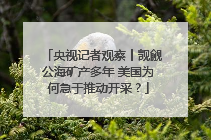 央视记者观察丨觊觎公海矿产多年 美国为何急于推动开采？