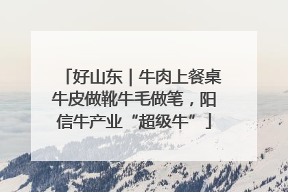 好山东｜牛肉上餐桌牛皮做靴牛毛做笔，阳信牛产业“超级牛”