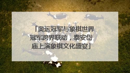 奥运冠军与象棋世界冠军跨界联动，泰安岱庙上演象棋文化盛宴