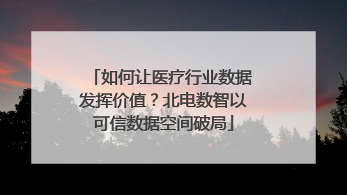 如何让医疗行业数据发挥价值？北电数智以可信数据空间破局