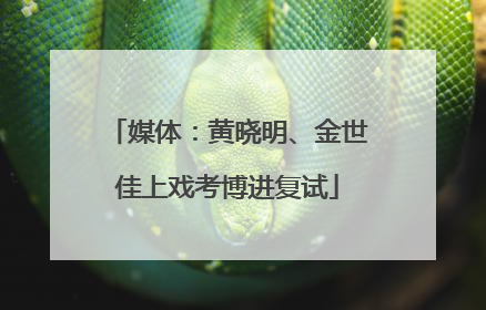 媒体：黄晓明、金世佳上戏考博进复试