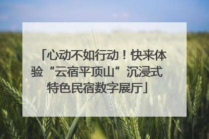 心动不如行动！快来体验“云宿平顶山”沉浸式特色民宿数字展厅