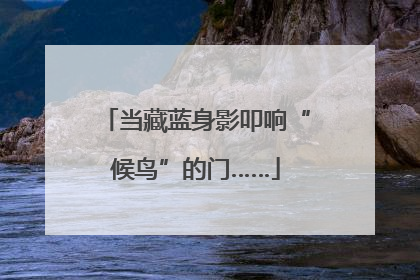 当藏蓝身影叩响“候鸟”的门……