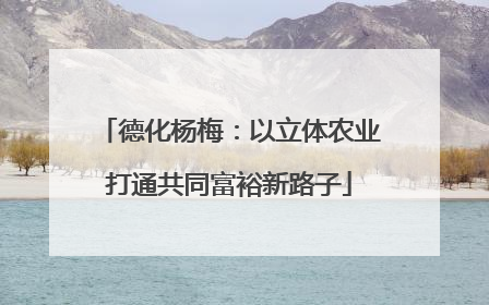 德化杨梅：以立体农业打通共同富裕新路子
