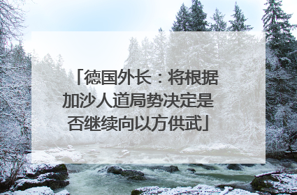 德国外长：将根据加沙人道局势决定是否继续向以方供武