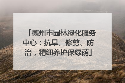 德州市园林绿化服务中心：抗旱、修剪、防治，精细养护保绿荫