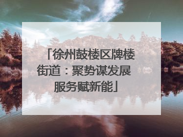 徐州鼓楼区牌楼街道：聚势谋发展 服务赋新能