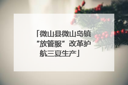 微山县微山岛镇“放管服”改革护航三夏生产
