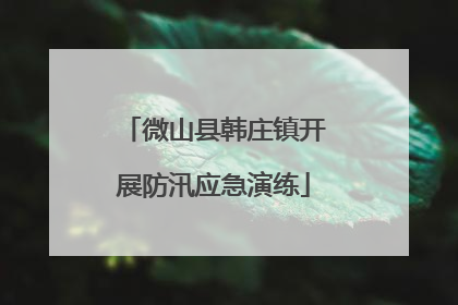 微山县韩庄镇开展防汛应急演练