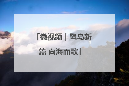 微视频｜鹭岛新篇 向海而歌