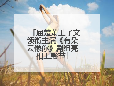 屈楚萧王子文领衔主演《有朵云像你》剧组亮相上影节