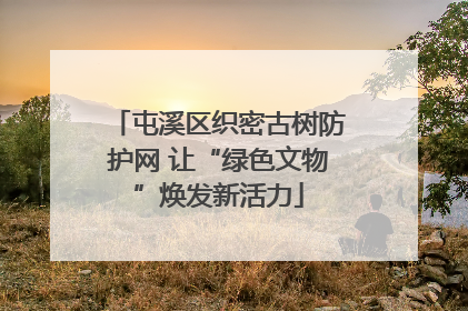 屯溪区织密古树防护网 让“绿色文物”焕发新活力
