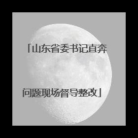 山东省委书记直奔问题现场督导整改