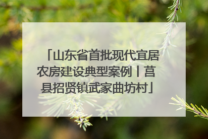 山东省首批现代宜居农房建设典型案例丨莒县招贤镇武家曲坊村
