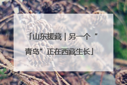 山东援藏｜另一个“青岛”正在西藏生长