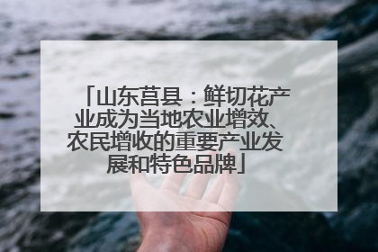 山东莒县：鲜切花产业成为当地农业增效、农民增收的重要产业发展和特色品牌