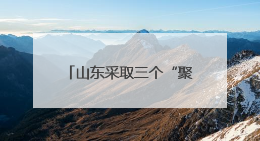山东采取三个“聚焦” 推动民营经济服务业高质量发展