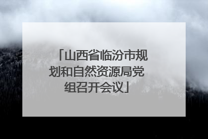 山西省临汾市规划和自然资源局党组召开会议