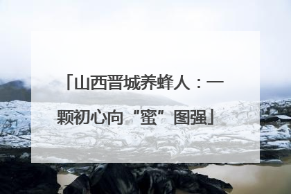 山西晋城养蜂人：一颗初心向“蜜”图强