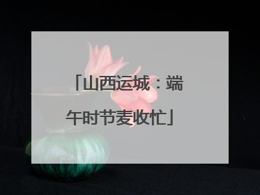 山西运城：端午时节麦收忙