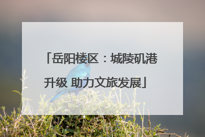 岳阳楼区：城陵矶港升级 助力文旅发展