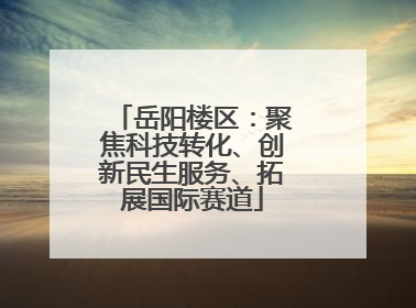 岳阳楼区：聚焦科技转化、创新民生服务、拓展国际赛道