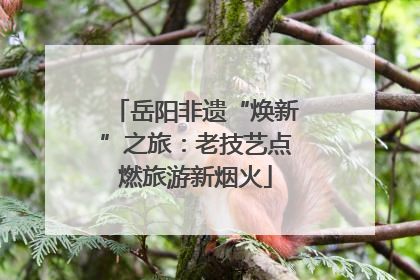 岳阳非遗“焕新”之旅：老技艺点燃旅游新烟火