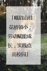 峨眉山桂花桥镇小：劳动赋能成长，实践点亮校园