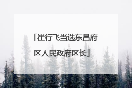 崔行飞当选东昌府区人民政府区长
