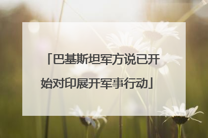 巴基斯坦军方说已开始对印展开军事行动