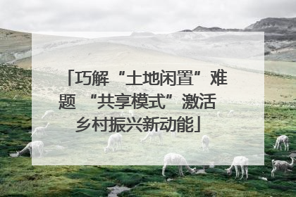 巧解“土地闲置”难题 “共享模式”激活乡村振兴新动能