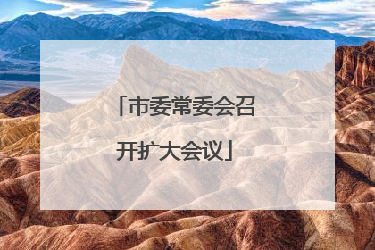 市委常委会召开扩大会议