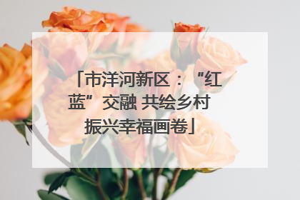 市洋河新区：“红蓝”交融 共绘乡村振兴幸福画卷