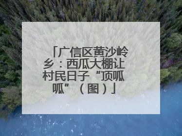 广信区黄沙岭乡：西瓜大棚让村民日子“顶呱呱”（图）